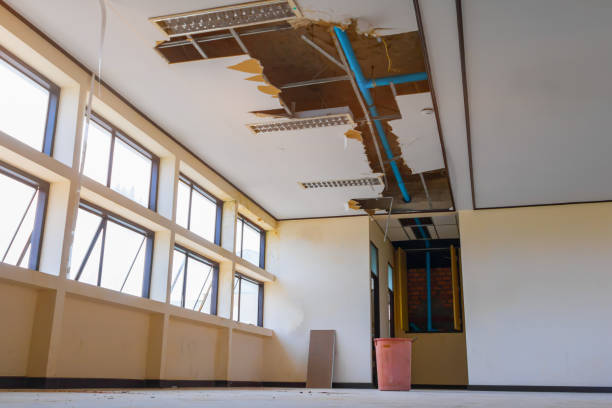 Best Ceiling water damage repair  in Mars Hill, NC