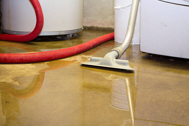 Best Carpet water damage restoration  in Mars Hill, NC