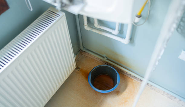 Best Carpet water damage restoration  in Mars Hill, NC