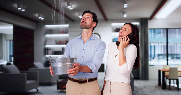 Best Flood restoration services  in Mars Hill, NC